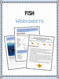 This was a new activity for her. Fish Facts And Worksheets Kidskonnect