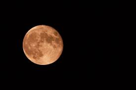 La super lune rose est donc surtout une manière. Super Lune Rose 2021 Pourquoi Elle Etait Difficile A Voir Dans Le Ciel Cette Nuit Sortiraparis Com