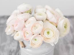 Farmer gracy brings you both new varieties and timeless. Growing Ranunculus Best Way To Plant Bulbs Kellogg Garden Organics