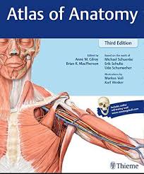Radiologic images help you connect the anatomy lab to clinical knowledge and practice new! Atlas Of Anatomy Atlas Anatomy Anatomy Coloring Book Anatomy