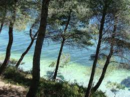 Parc De Figuerolle Brittany France Trip Advisor Tour Tickets