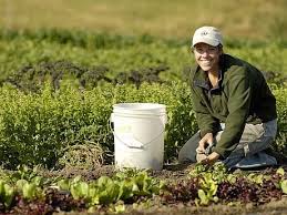 Agricultura ecologica nu este un miracol, ci o creatie a agricultorilor iubitori de natura, aparuta la nivel conform acestor acte normative, principiile productiei agroalimentare ecologice sunt: La Ploiesti Conferinta Cu Tema Agricultura Ecologica Oportunitate Pentru Romania Ecomagazin Ro