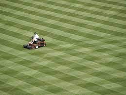 How To Mow Your Lawn In Stripes Lawn Striping Landscaping Images Lawn
