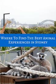 Maybe you would like to learn more about one of these? 10 Awesome Animal Experiences Sydney Adventure Baby