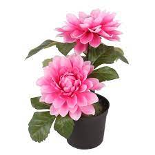 7 Potted Pink Dahlia Flowers Walmart Com In 2021 Dahlia Flower Artificial Flowers And Plants Fake Plants Decor