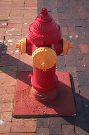 Keep your hips straight in one direction and do not move your thighs with your legs while retaining the legs position at 90 degrees. Best Butt Exercises Fire Hydrants The Better Butt Challenge