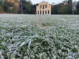 Quando a geada ocorre, muitos cultivos são perdidos. Curitiba Amanhece Com Geada E Cidade Do Parana Tem Temperatura Historica 7 8 C Banda B