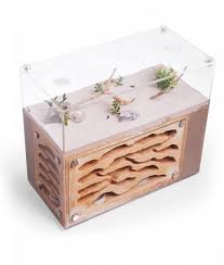 Dire Pinnacle Formicarium Ants Ant Farms