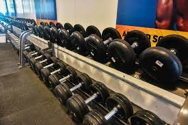 Check spelling or type a new query. Fitness Stores That Can Deliver Gym Equipment To Your Home Booky