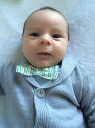 Gold Coast Bulletin 2014 Baby Book