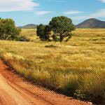 Quels sont les aliments à éviter quand on est malade ? Faut Il Aller Courir Quand On Est Malade Frequence Running