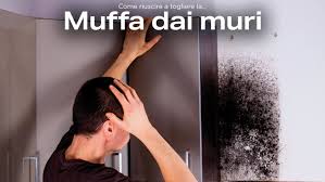 Applicazioni dei pannelli in polistirolo finta pietra. Isolare Con Il Sughero Pannelli Isolanti Per Pareti Interne Umide