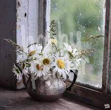 schilderen op nummer witte bloemen flower painting flower art beautiful flowers