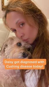 My angel Daisy diagnosed with Cushing disease today. I was nervous rack.  Can’t imagine not having here in my  life!#fyi#cushingdisease#furbaby#dogoftiktok#petoftiktok#doggo#lovemyfurbaby