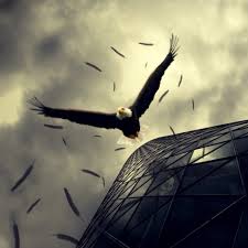 Download 6500 Koleksi Wallpaper Elang Hd Terbaru Wallpaper Keren Dihalaman ini anda akan melihat wallpaper bergerak burung elang yang keren! download 6500 koleksi wallpaper elang