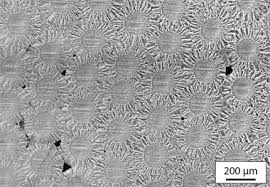 Image result for Tungsten 2013 200