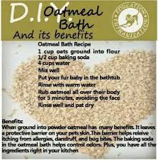 Oatmeal Bath For Dogs Healthy Skin Dog Skin Care Oatmeal Bath For Dogs Dog Dry Skin