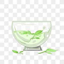 Cartoon Green Tea Leaves Illustration Green Tea Green Tea Transparent Teacup Png Transparent Clipart Image And Psd File For Free Download Tea Leaves Illustration Leaves Illustration Leaf Clipart
