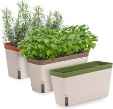 About using it written piece which is grouped within window boxes, indoor window box planter, indoor window box ideas, and published at july. Amazon Com Windowsill Herb Planter Box Set Of 3 Rectangular Self Watering Indoor Garden For Kitchens Grow Plants Flowers Or Succulents Large Water Reservoir Kitchen Dining
