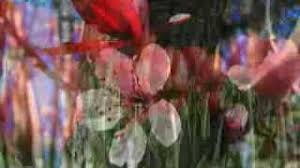 O cale ingusta (2015)muzica si text: De N Ai Fi Tu Metric