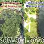 Florida Pond Cleaning from www.facebook.com