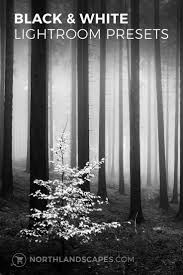Black And White Lightroom Presets Download Black White Lightroom Presets For Landscape Photography Reisefotografie Lightroom Fotografie