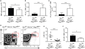 Frontiers | PU.1 Is Required for the Developmental Progression of  Multipotent Progenitors to Common Lymphoid Progenitors