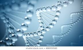 Dna 3d Izobrazheniya Stokovye Fotografii I Vektornaya Grafika Shutterstock Illyustracii Vektornaya Grafika I Fotografii