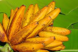 Bananes A Cuire De Tahiti Fei Succulentes Au Four Banane Plantain Tahiti Plantain