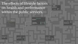 Understanding how your test results correlate to risk factors can help you make positive changes in your health habits for a longer and healthier life. The Effects Of Lifestyle Factors On Health And Performance W By Benjamin Gascoigne