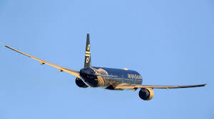 You must be wondering about what measures and safety guidelines to follow before and during your trip. Man Fined 2k Over Portugal Trip Seeks To Challenge Covid Travel Laws