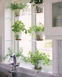 Maybe you would like to learn more about one of these? Enhance The Beauty Of Your Home With These Creative Decorations Dexorate Kitchen Garden Window Herb Garden In Kitchen Window Plants