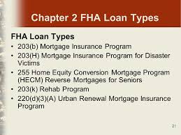 Section 203(h) mortgage insurance for disaster victims helps make it easier for survivors to get a mortgage to buy or rebuild a home. The Fha And Va Appraiser Thriving And Surviving Appraisal Basics Welcome To Organization Ppt Download