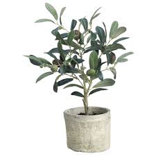 Trunks cast from moldings of. Artificial Olive Tree In Pot 12 H