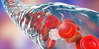 Image result for Blood Volume