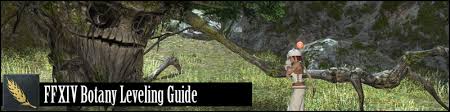 Prismfang's summoner notes and other stuff; Ffxiv Botanist Leveling Guide 80 Shadowbringers Updated