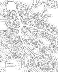 Quartz is a guide to the new global economy for people excited by change. Stay In The Lines With These Neat Science Coloring Pages