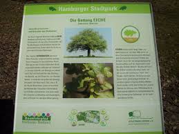 The psd bankengruppe is a german cooperative banking group consisting of 14 autonomous and independent financial institutions.the business model of the psd banks is a combination of regional direct and affiliated bank. Mopo Staffellauf Grosse Spende Der Psd Bank Fur Den Baumlehrpfad Der Stadtpark Verein Hamburg E V