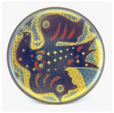 Image result for Dark Coppertone 1972 Fedders