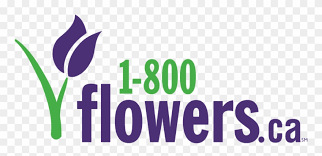 Including transparent png clip art, cartoon, icon, logo, silhouette, watercolors, outlines, etc. 1 800 Flowers Canada Coupon Codes Png 1800 Flowers Logo Clipart 4532737 Pinclipart