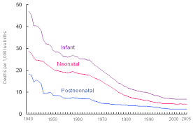 perinatal mortality wikipedia