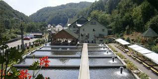 Baia mare este reședința județului maramureș și are 122.660 de locuitori. Locuri De Vizitat In MaramureÈ™ PÄƒstrÄƒvÄƒria LostriÈ›a