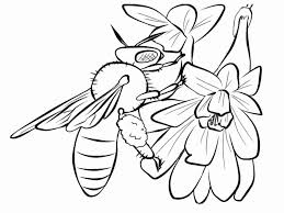 In this collection, we have a coloring page of bumblebee. Honey Coloring Page Awesome Bees Pages Realistic Colouring Bumblebee Transformer Tures Book For Plastic Pictures To Maya The Oguchionyewu