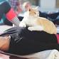 "Purr-Fect" Sound Bath w/ Relaxation poses (and... event in Tillsonburg, ON