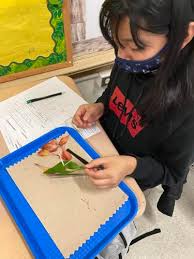 Washington Middle School names students to third quarter honor roll