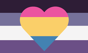 What is the difference between panromantic asexual, pansexual, and aromantic? Panromantic Asexual Flag