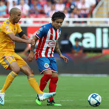 Chivas guadalajara faces tigres in a liga mx match at the estadio akron in zapopan, mexico, on saturday, may 1, 2021 (5/1/21). 2020 Liga Mx Clausura Match Preview Tigres Uanl Vs Chivas De Guadalajara Fmf State Of Mind