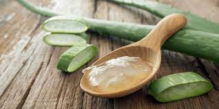 Manfaat dari lidah buaya dapat kita rasakan dengan mengaplikasikan langsung gel lidah buaya pada kulit wajah, entah untuk salah satu proses penyembuhan atau untuk kecantikan. 10 Manfaat Lidah Buaya Untuk Wajah Ketahui Cara Penggunaan Yang Optimal Merdeka Com