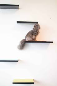 Aside from introducing trees and cardboard boxes, she suggests that installing cat wall shelves can offer pets the security of a space all their own. How To Build Cat Shelves That Your Cat Will Love Brooklyn Farm Girl
