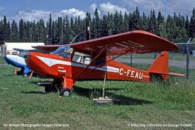 Image result for White 1983 Fleet